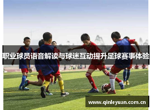 职业球员语音解读与球迷互动提升足球赛事体验