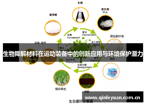 生物降解材料在运动装备中的创新应用与环境保护潜力